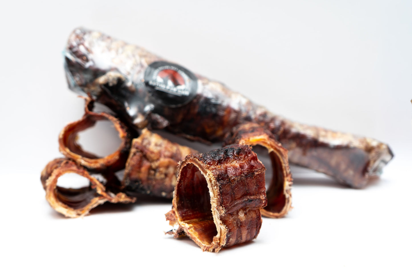 Bison Trachea