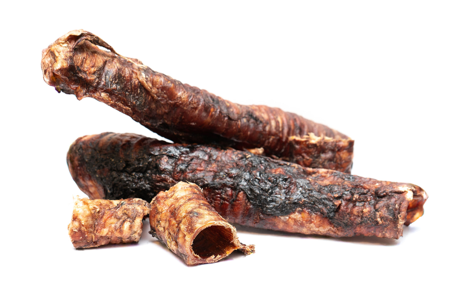 Bison Trachea
