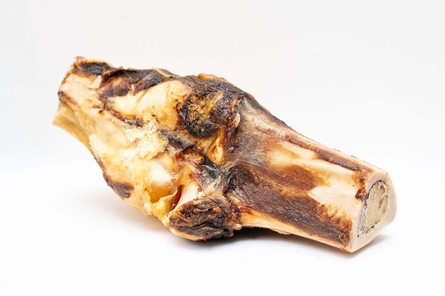 Bison Knuckle Bone