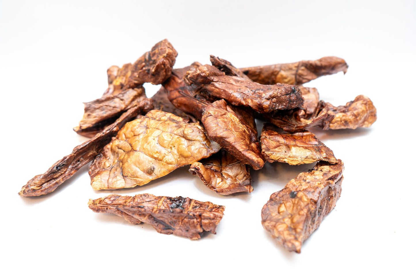 Bison Lung