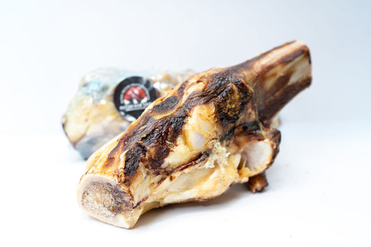 Bison Knuckle Bone