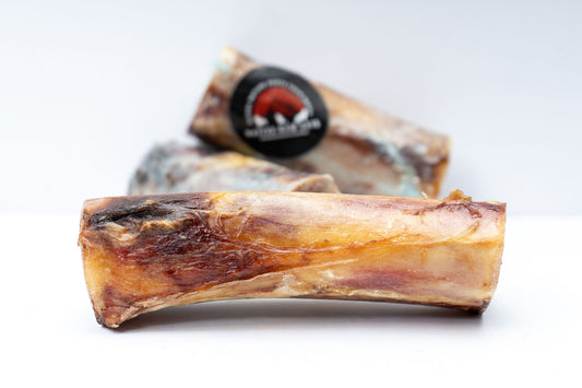 Bison Arm Bone
