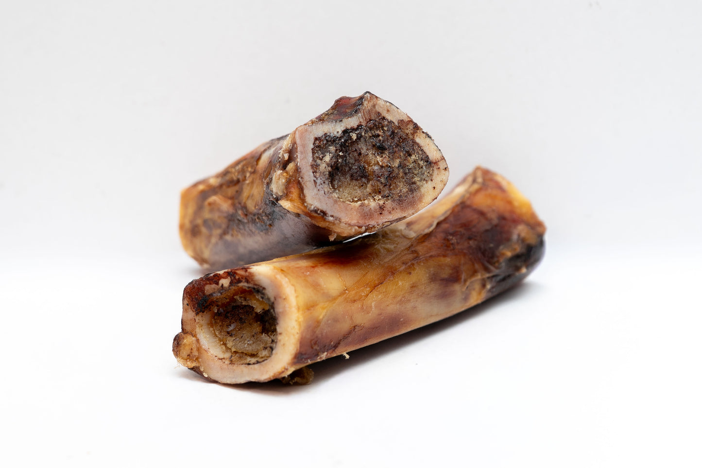 Bison Arm Bone