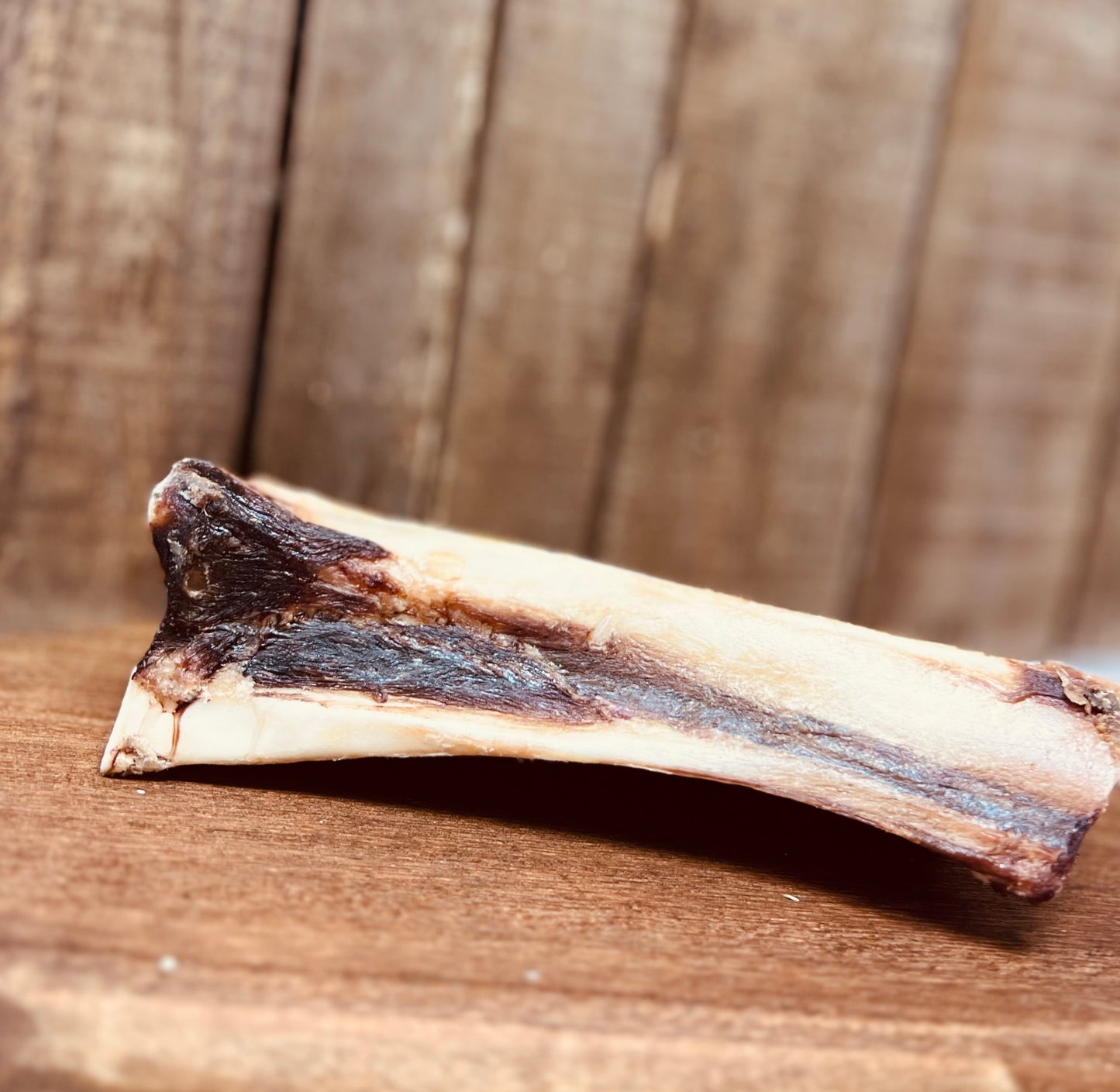 Bison Femur Beef Bone